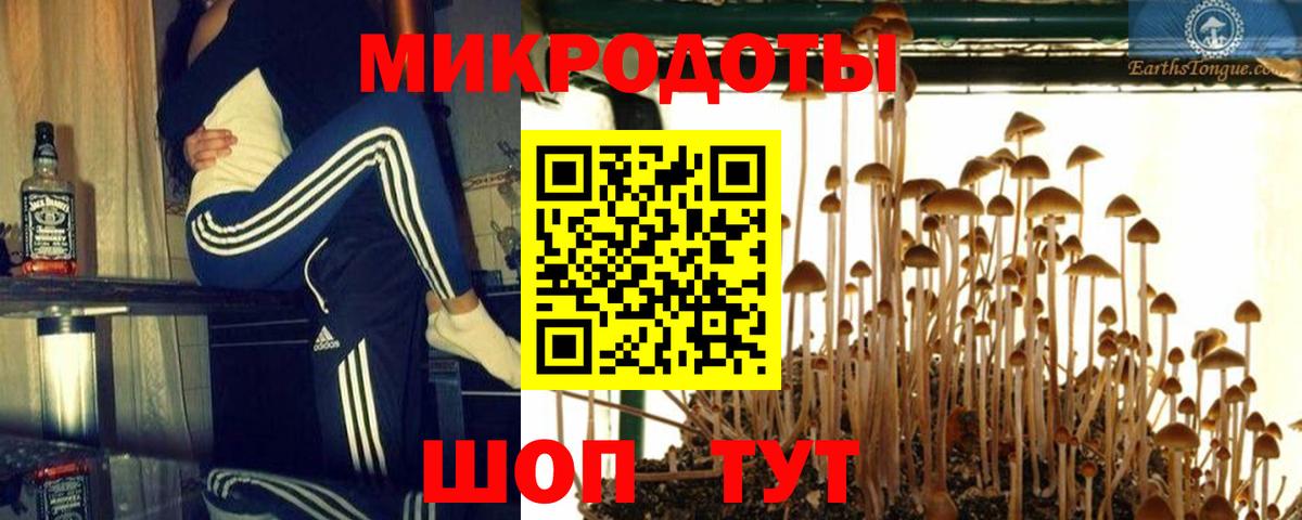 Армавир  Галлюциногенные грибы прущие грибы  Вход с VPN 